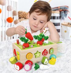 Sorteerimisülesanne - Porgandid hind ja info | Imikute mänguasjad | kaup24.ee