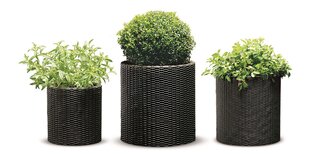 Набор цветочных горшков Cylinder Planters S+M+L, коричневый цена и информация | Вазоны | kaup24.ee