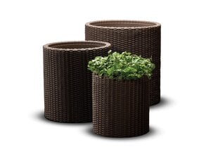Набор цветочных горшков Cylinder Planters S+M+L, коричневый цена и информация | Вазоны | kaup24.ee