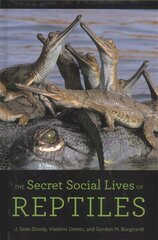 Secret Social Lives of Reptiles цена и информация | Книги по экономике | kaup24.ee