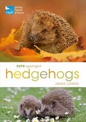 RSPB Spotlight Hedgehogs цена и информация | Книги о питании и здоровом образе жизни | kaup24.ee