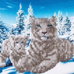 Алмазная мозаика "Тигры на снегу" 20x20 см, C 89740 цена и информация | Алмазная мозаика | kaup24.ee