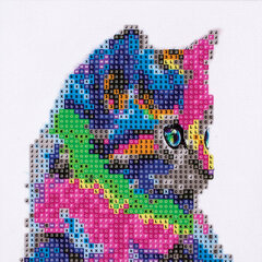 Teemant mosaiik "Mitmevärviline kass" 20 x 20 cm, C 89743 hind ja info | Teemantmaalid, teemanttikandid | kaup24.ee