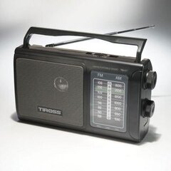 Tiross TS-457 цена и информация | Радиоприемники и будильники | kaup24.ee