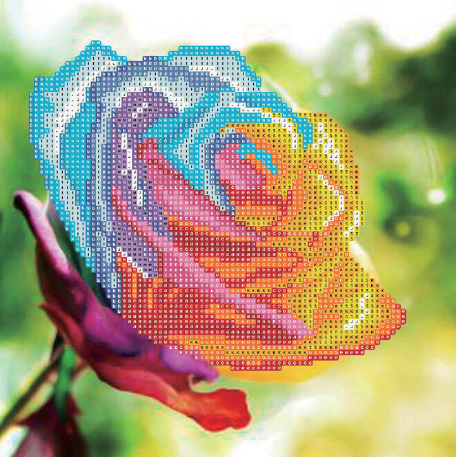 Teemant mosaiik "Rose" 30 x 30 cm, C 89746 hind ja info | Teemantmaalid, teemanttikandid | kaup24.ee