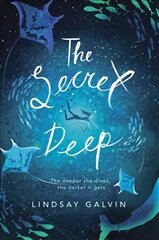 Secret Deep цена и информация | Книги для подростков и молодежи | kaup24.ee