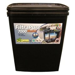 Filtrikomplekt Ubbink FiltraPure 7000 PLUS цена и информация | Садовые бассейны и товары для их ухода | kaup24.ee