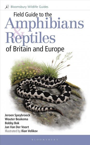 Field Guide to the Amphibians and Reptiles of Britain and Europe цена и информация | Tervislik eluviis ja toitumine | kaup24.ee