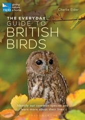 Everyday Guide to British Birds: Identify our common species and learn more about their lives цена и информация | Книги о питании и здоровом образе жизни | kaup24.ee