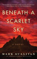 Beneath a Scarlet Sky: A Novel цена и информация | Романы | kaup24.ee