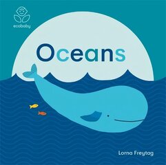 Eco Baby: Oceans hind ja info | Väikelaste raamatud | kaup24.ee