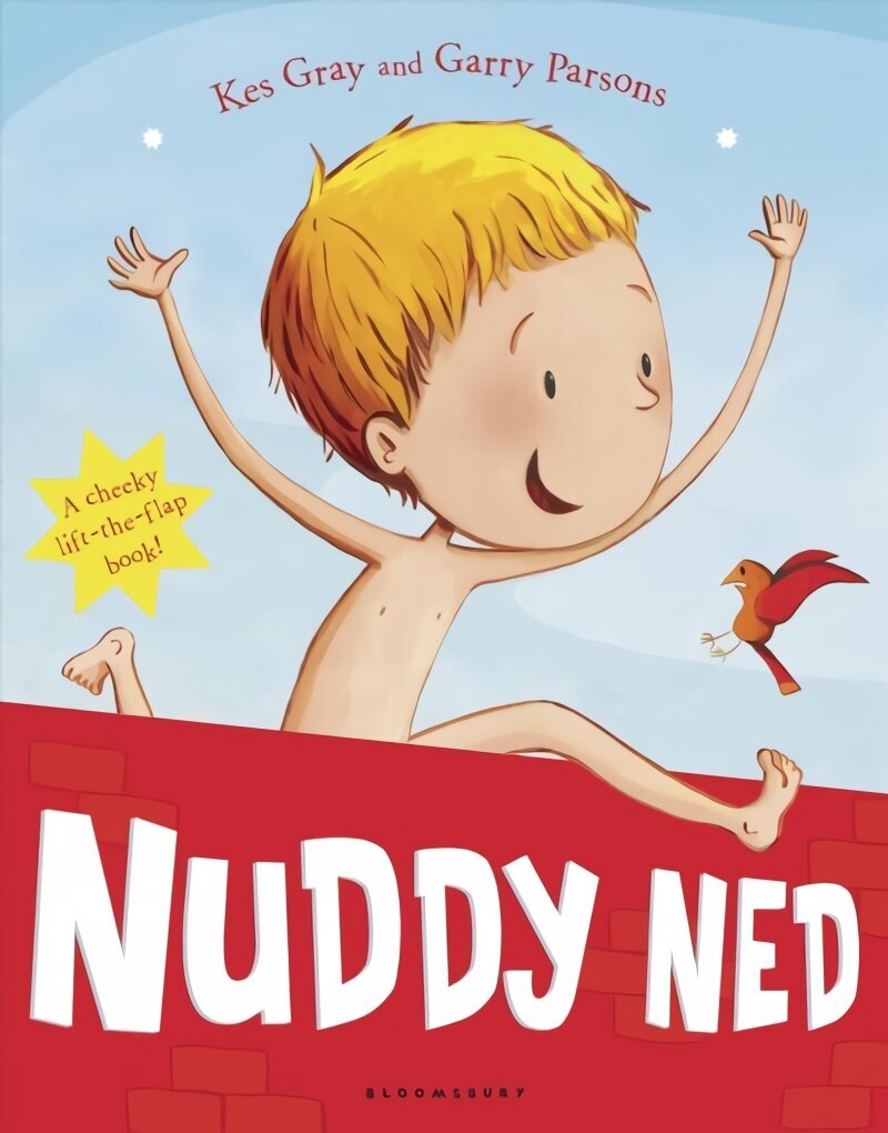 Nuddy Ned hind ja info | Väikelaste raamatud | kaup24.ee