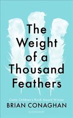 Weight of a Thousand Feathers цена и информация | Книги для подростков и молодежи | kaup24.ee