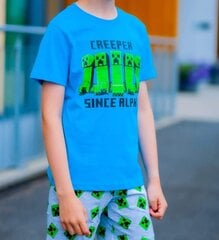 Комплект из шорт и футболки MINECRAFT цена и информация | Пижамы, халаты для мальчиков | kaup24.ee