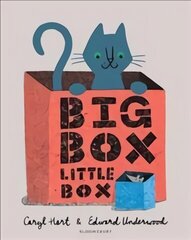 Big Box Little Box hind ja info | Väikelaste raamatud | kaup24.ee