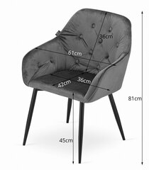 Komplektis 2 söögitooli Forio, must samet/mustad jalad hind ja info | Söögitoolid, baaritoolid | kaup24.ee