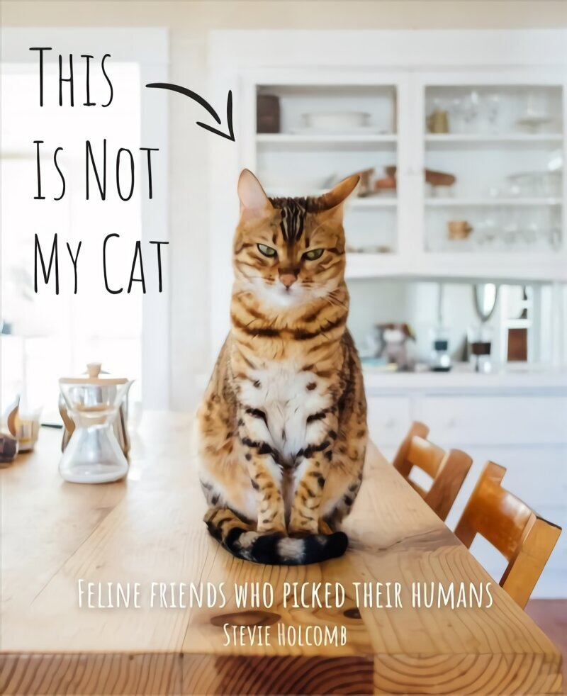 This is not my cat: Feline friends who picked their humans hind ja info | Tervislik eluviis ja toitumine | kaup24.ee