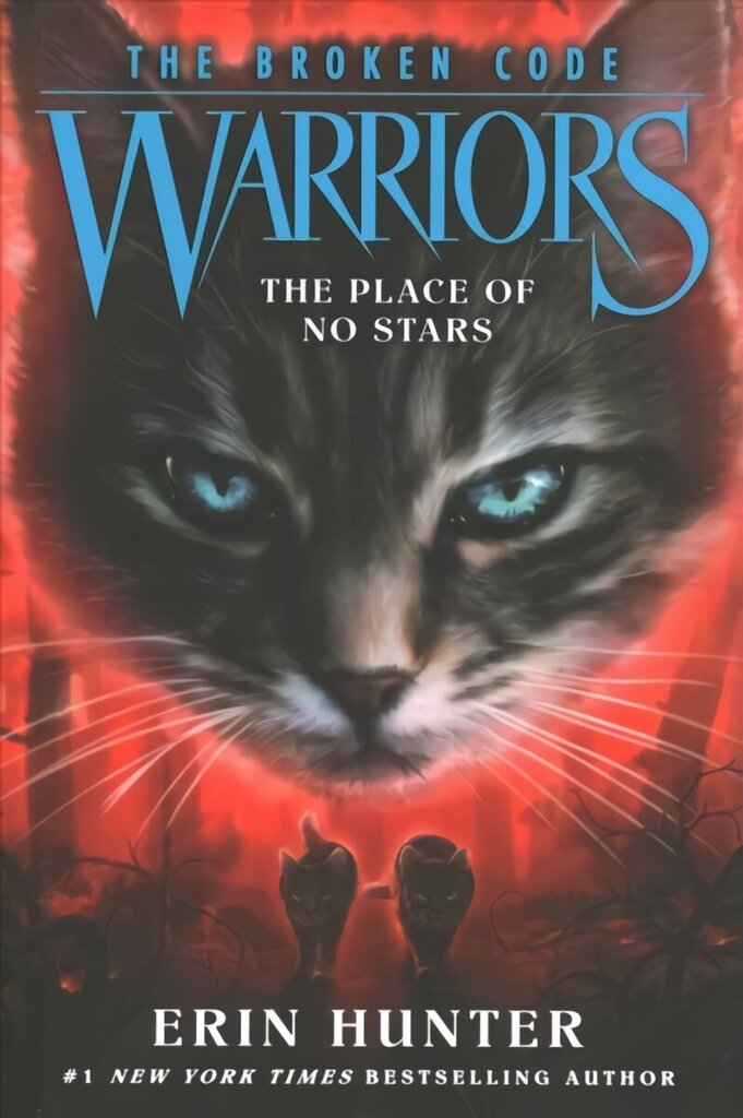 Warriors: The Broken Code #5: The Place of No Stars цена и информация | Noortekirjandus | kaup24.ee