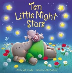 Ten Little Night Stars hind ja info | Väikelaste raamatud | kaup24.ee