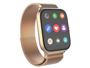 Trevi T-Fit 260 Plus Gold hind ja info | Nutikellad (smartwatch) | kaup24.ee