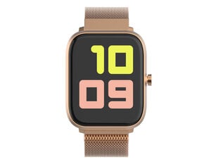 Trevi T-Fit 260 Plus Gold цена и информация | Смарт-часы (smartwatch) | kaup24.ee