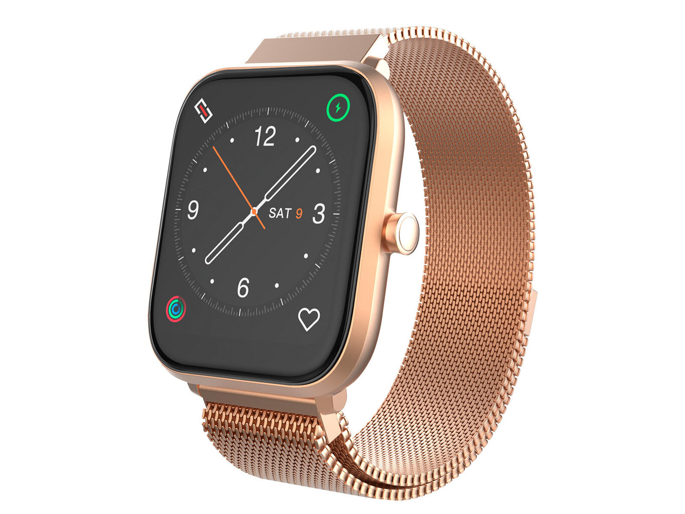 Trevi T-Fit 260 Plus Gold hind ja info | Nutikellad (smartwatch) | kaup24.ee