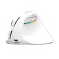 Wireless Vertical Mouse Delux M618Mini DB BT+2.4G 2400DPI (white) hind ja info | Hiired | kaup24.ee