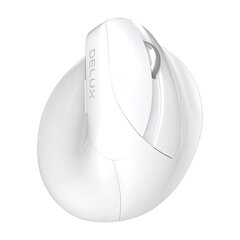 Wireless Vertical Mouse Delux M618Mini DB BT+2.4G 2400DPI (white) цена и информация | Мыши | kaup24.ee