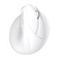 Wireless Vertical Mouse Delux M618Mini DB BT+2.4G 2400DPI (white) hind ja info | Hiired | kaup24.ee