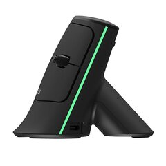 Wireless Ergonomic Mouse Delux MV6 DB BT+2.4G (black) hind ja info | Delux Arvutid ja IT- tehnika | kaup24.ee