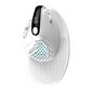 Wireless Ergonomic Mouse Delux M618XSD BT+2.4G RGB (white) цена и информация | Hiired | kaup24.ee