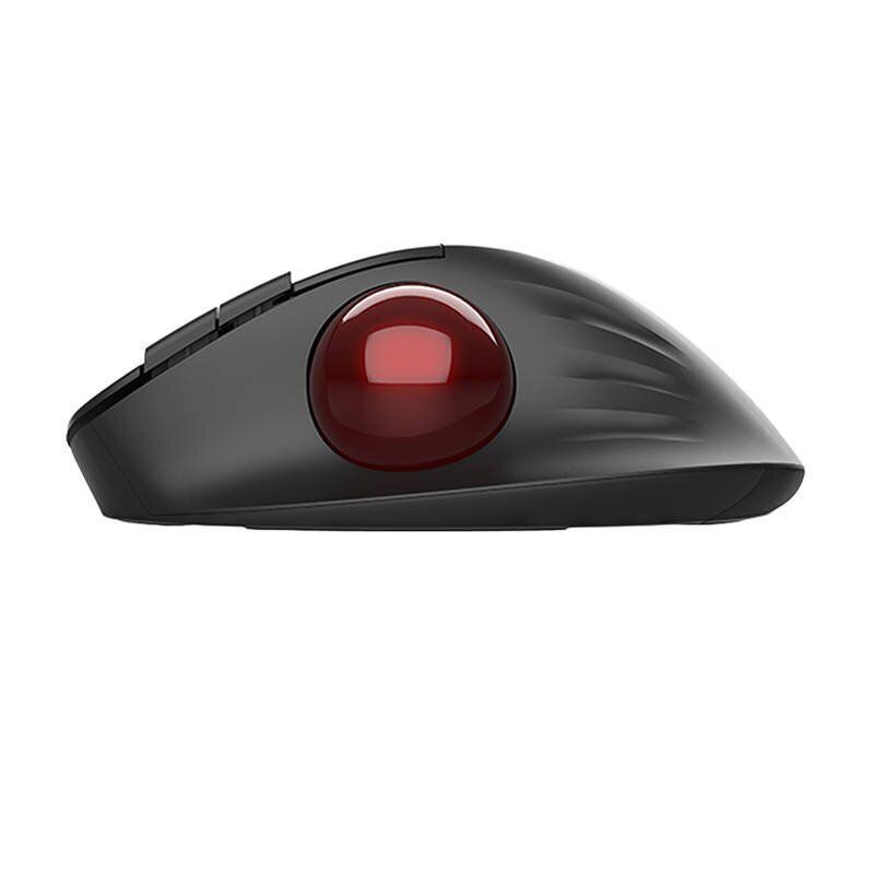 Wireless Ergonomic Mouse Delux MT1 DB BT+2.4G (black) цена и информация | Hiired | kaup24.ee