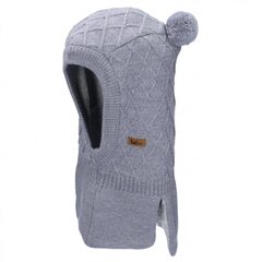 TuTu meriinovillast tuukrimüts, hall цена и информация | Шапки, перчатки, шарфы для мальчиков | kaup24.ee