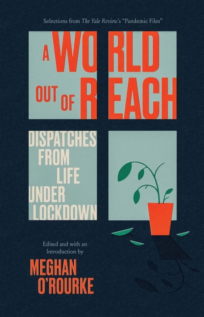 World Out of Reach: Dispatches from Life under Lockdown hind ja info | Luule | kaup24.ee