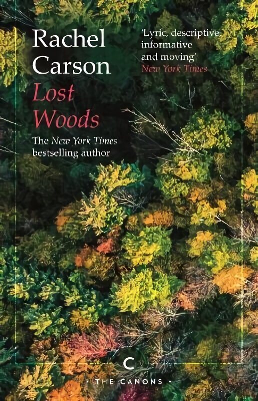 Lost Woods Main - Canons hind ja info | Lühijutud, novellid | kaup24.ee