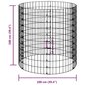 vidaXL ringikujuline gabioon taimelava, tsingitud teras, Ø100 x 100 cm hind ja info | Lillekastid | kaup24.ee