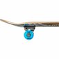 Skate 180 Complete Tony Hawk Clash Must 7.75&quot; hind