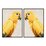 Maal DKD Home Decor Papagoi Troopiline (103 x 4,2 x 143 cm) (2 Ühikut)