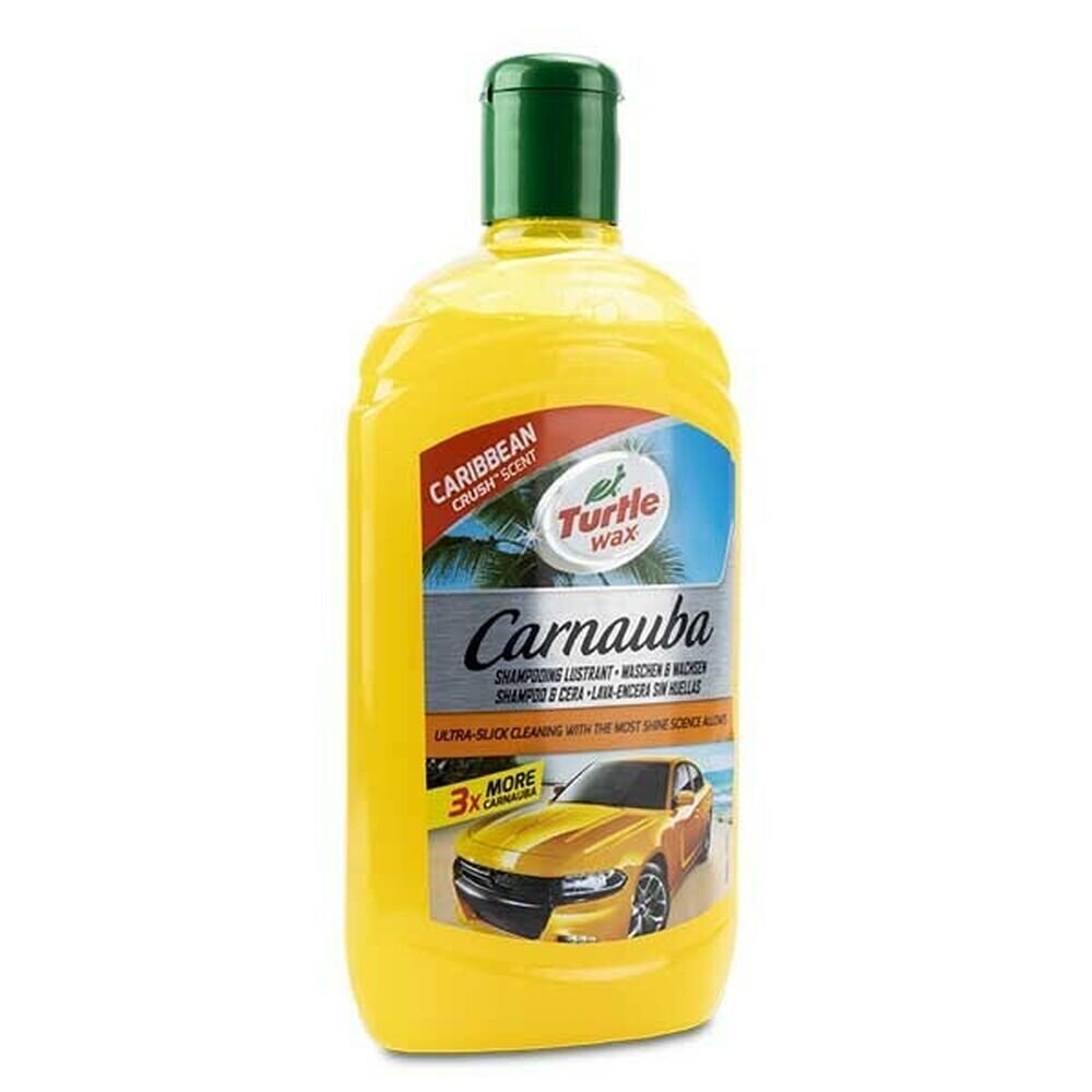 Auto šampoon 500 ml цена и информация | Autokeemia | kaup24.ee