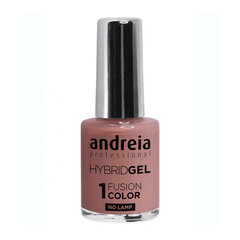 Лак для ногтей Andreia Hybrid Fusion H8, 10,5 мл цена и информация | Лаки для ногтей, укрепители для ногтей | kaup24.ee