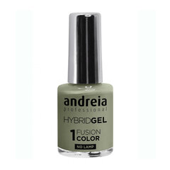 лак для ногтей Andreia Hybrid Fusion H68 (10,5 ml) цена и информация | Лаки для ногтей, укрепители для ногтей | kaup24.ee