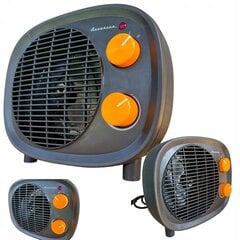 Elektrikeris, ventilaator, termostaat, Ravanson Pro 2000W цена и информация | Обогреватели | kaup24.ee