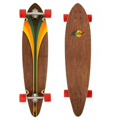 Longboard Dstreet Pintail Malibu BR 40" цена и информация | Скейтборды | kaup24.ee