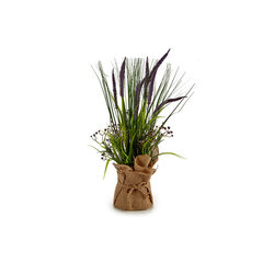 Dekoratiivne Taim Reeds Kork Plastmass Raffia (14 x 54 x 14 cm) hind ja info | Kunstlilled | kaup24.ee