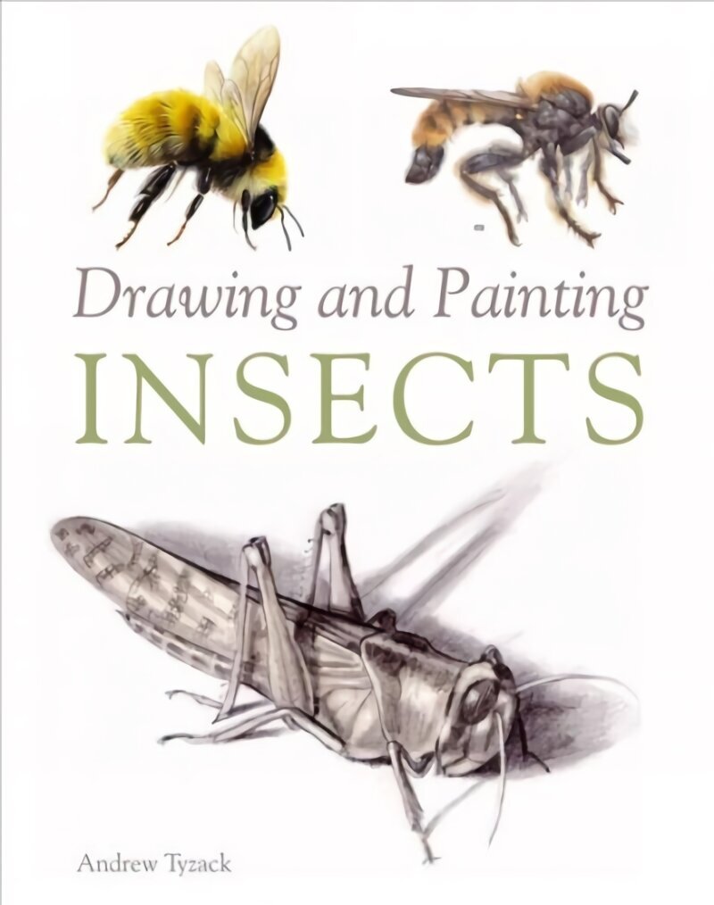 Drawing and Painting Insects цена и информация | Tervislik eluviis ja toitumine | kaup24.ee