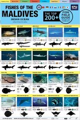 Maldives Fish Field Guide Top 200plus цена и информация | Энциклопедии, справочники | kaup24.ee