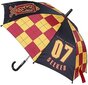 Kokkupandav vihmavari 07 Seeker Harry Potter (Ø 78 cm) S0724321 hind ja info | Laste aksessuaarid | kaup24.ee