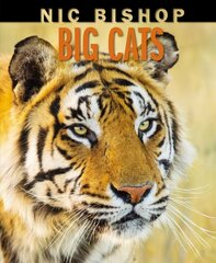 Nic Bishop Big Cats hind ja info | Entsüklopeediad, teatmeteosed | kaup24.ee
