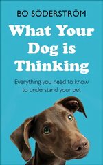 What Your Dog Is Thinking: Everything you need to know to understand your pet hind ja info | Entsüklopeediad, teatmeteosed | kaup24.ee