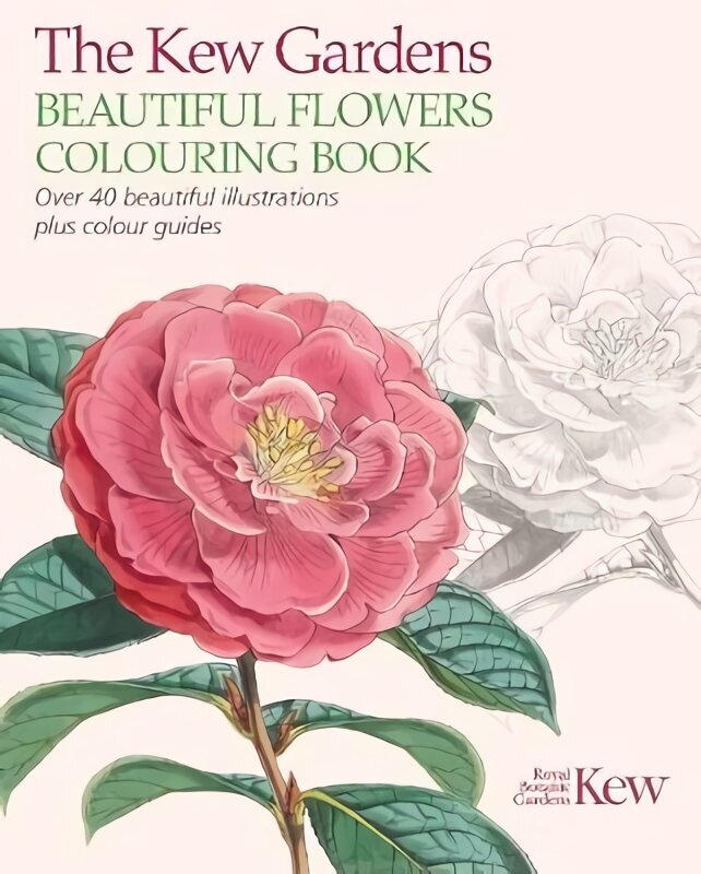 Kew Gardens Beautiful Flowers Colouring Book: Over 40 Beautiful Illustrations Plus Colour Guides hind ja info | Tervislik eluviis ja toitumine | kaup24.ee